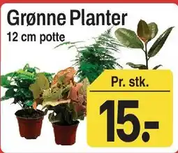 ABC Lavpris Grønne Planter tilbud