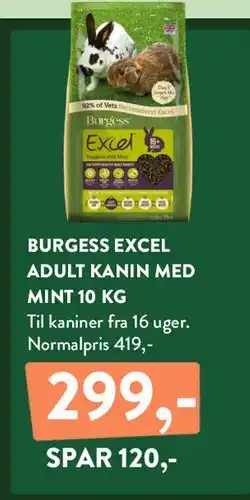 Plantorama BURGESS EXCEL ADULT KANIN MED MINT 10 KG tilbud