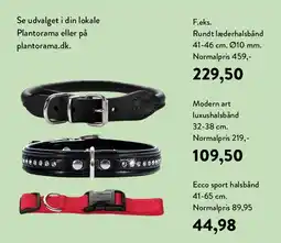 Plantorama Ecco sort halsbånd 41-65 cm tilbud