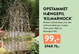 Plantorama Opstammet hængepil 'Kilmarnock' tilbud