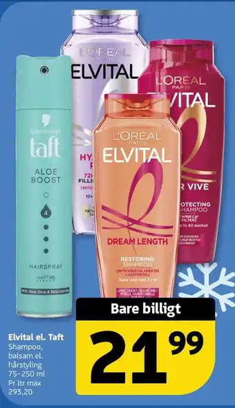 Løvbjerg Elvital el. Taft tilbud