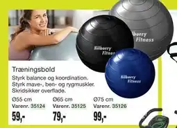 Harald Nyborg Træningsbold tilbud