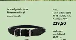 Plantorama Rundt læderhalsbånd 41-46 cm tilbud