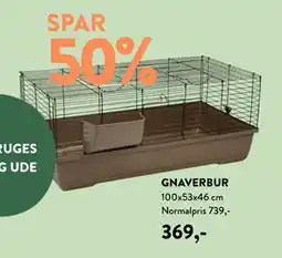 Plantorama GNAVERBUR tilbud