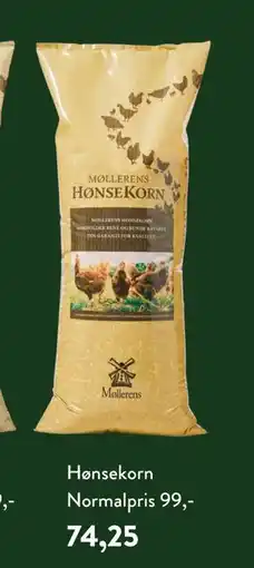 Plantorama Hønsekorn tilbud