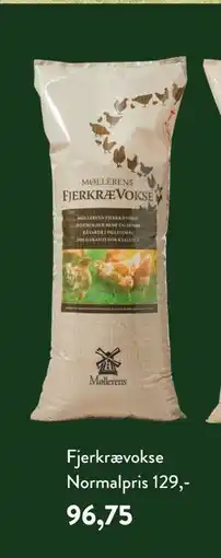 Plantorama Fjerkrævokse tilbud