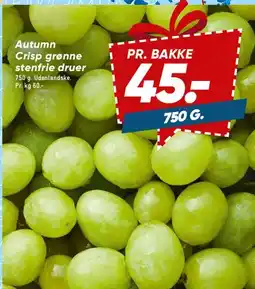 Bilka Grønne stenfrie druer tilbud