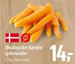 Føtex Økologiske danske gulerødder tilbud