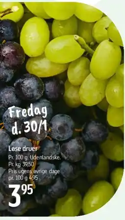 Føtex Løse druer tilbud