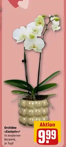 REWE DE Orchidee Exclusiv tilbud