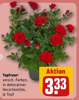 REWE DE Topfrose tilbud