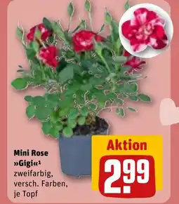 REWE DE Mini Rose Gigi tilbud