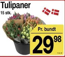 ABC Lavpris Tulipaner tilbud