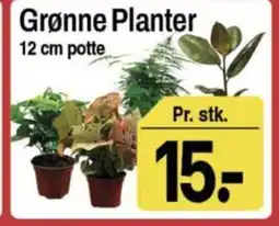 ABC Lavpris Grønne Planter tilbud