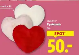 Lidl LIVARNOⓇ Pyntepude tilbud