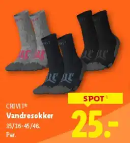 Lidl CRIVIT Vandresokker tilbud
