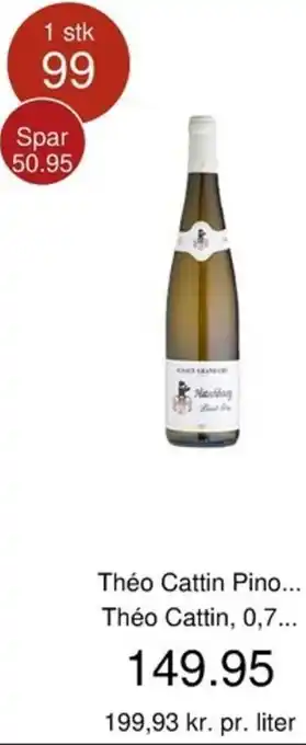 Théo Cattin Pinot
