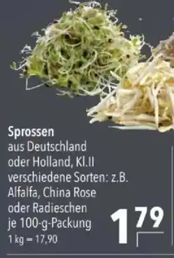 Citti Sprossen tilbud