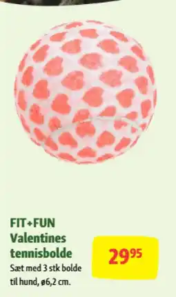 Maxi Zoo FIT+FUN Valentines tennisbolde tilbud