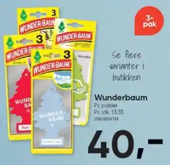 BigDollar Wunderbaum tilbud