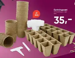 BigDollar Dyrkningssæt tilbud