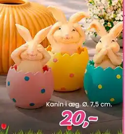 Hi five Kanin i æg. Ø. 7,5 cm tilbud