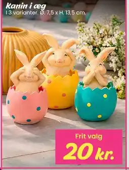 Hi five Kanin i æg tilbud