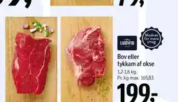 Føtex Bov eller tykkam af okse tilbud