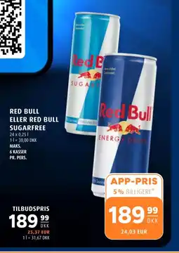 Scandinavian Park RED BULL eller RED BULL sugarfree tilbud