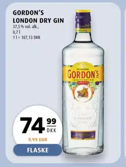 Scandinavian Park GORDON'S London dry gin tilbud