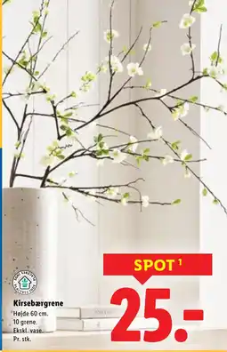 Lidl Kirsebærgrene tilbud