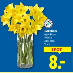 Lidl Påskeliljer tilbud