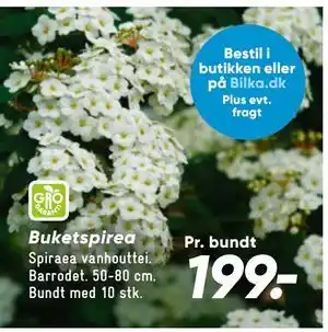 Bilka Buketspirea tilbud