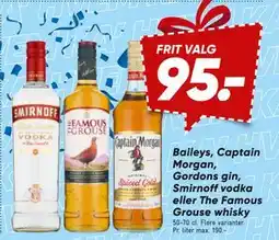 Bilka Baileys, Captain Morgan, Gordons gin, Smirnoff vodka eller The Famous Grouse whisky tilbud