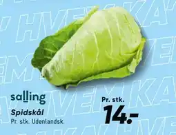 Bilka Spidskål tilbud
