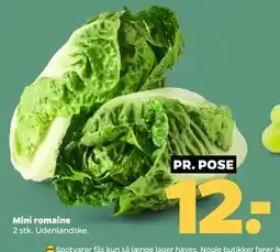Netto Mini romaine tilbud