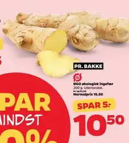 Netto ØGO økologisk ingefær tilbud
