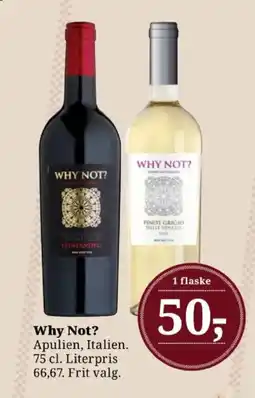 Dagli'Brugsen Why Not? tilbud