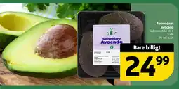 Løvbjerg Formodnet avocado tilbud