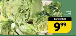 Løvbjerg Iceberg salat tilbud