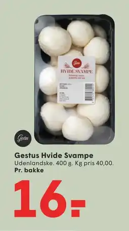SPAR Gestus Hvide Svampe tilbud