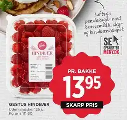 MENY GESTUS HINDBÆR tilbud