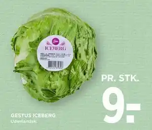 GESTUS ICEBERG