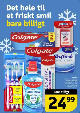 Løvbjerg Colgate tilbud