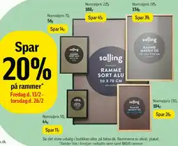 Føtex Salling rammer (forskellige rammer og størrelser) tilbud