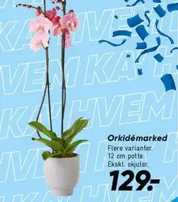 Bilka The Lite trolley (softcase kuffertsæt) tilbud