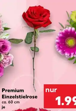 Kaufland DE Premium Einzelstielrose tilbud