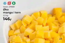 Dagrofa Food Service Øko mango i tern tilbud