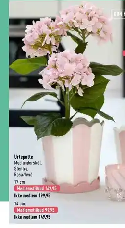 Imerco Urtepotte, Medlemspris tilbud