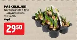 jem & fix PÅSKELILJER tilbud